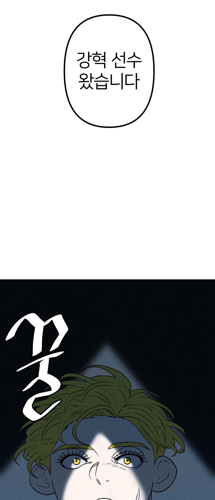 46 페이지