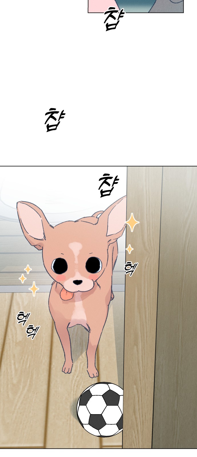 43 페이지