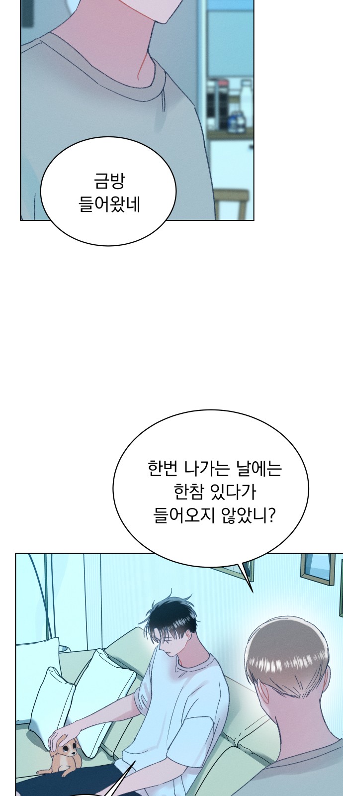 11 페이지