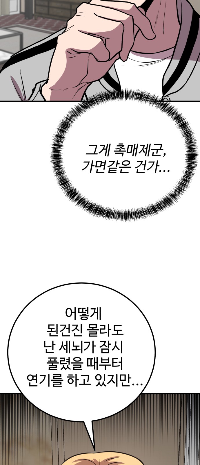 81 페이지