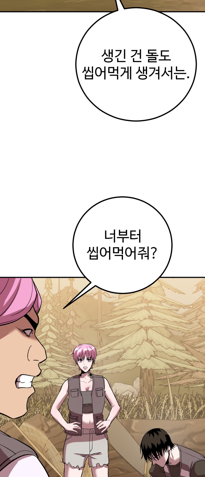 66 페이지