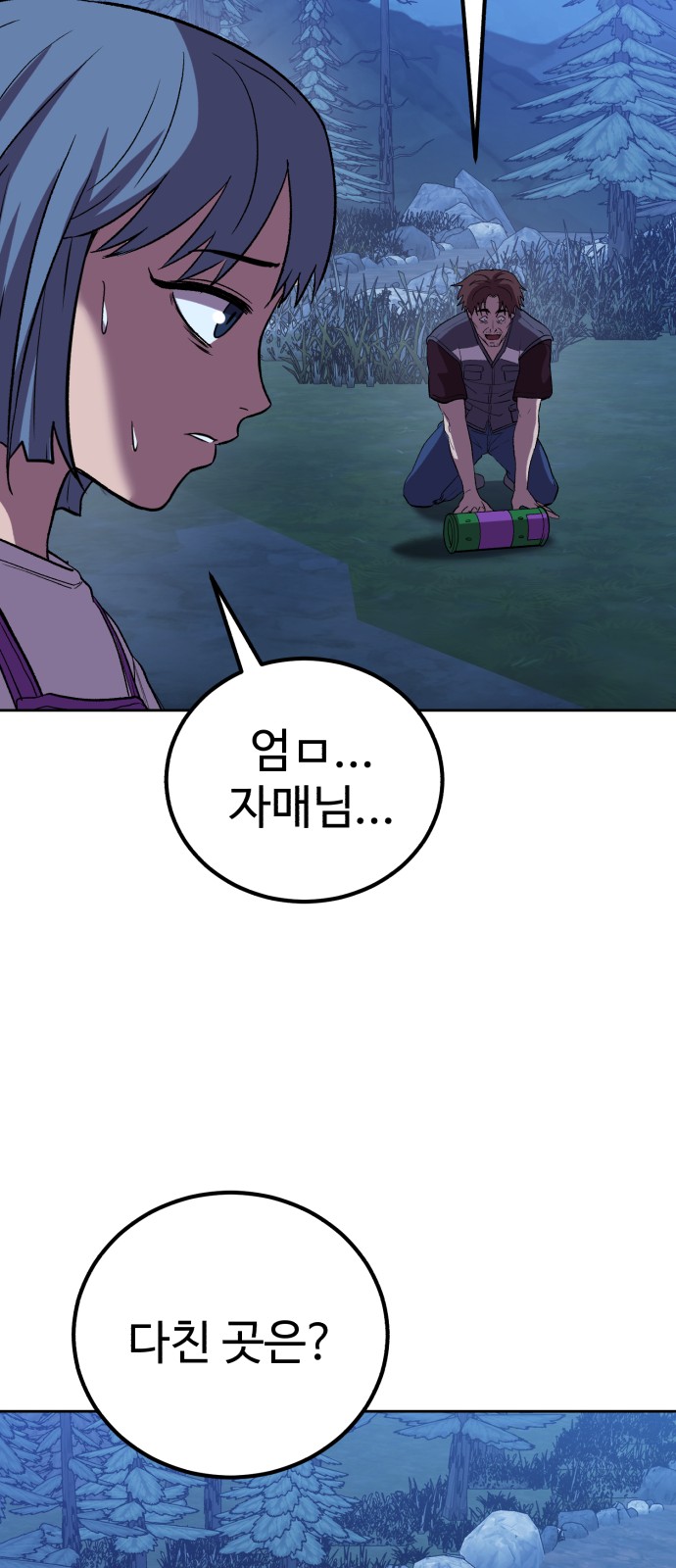 46 페이지
