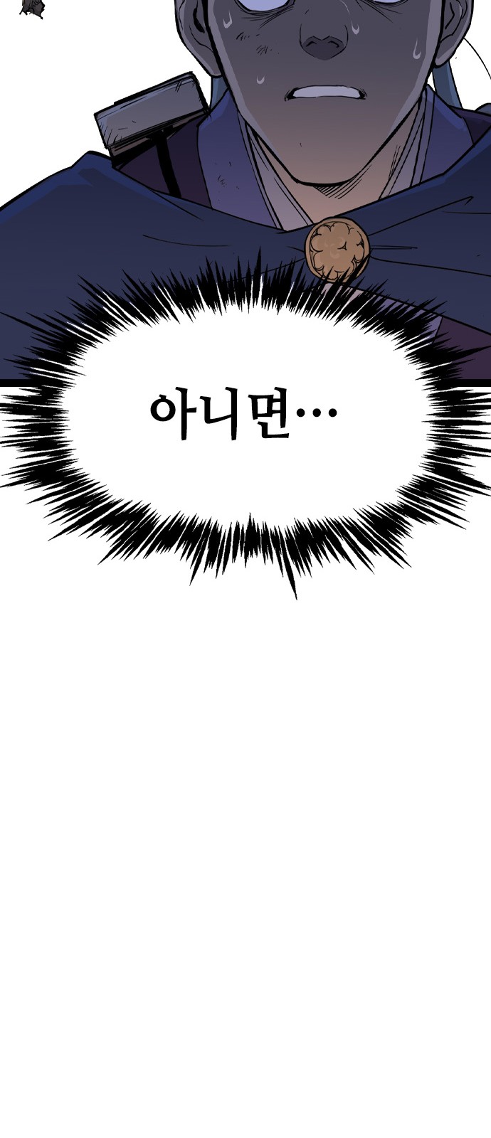 66 페이지