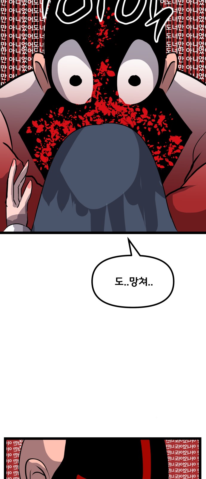 66 페이지