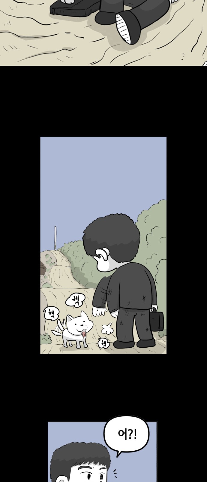 36 페이지