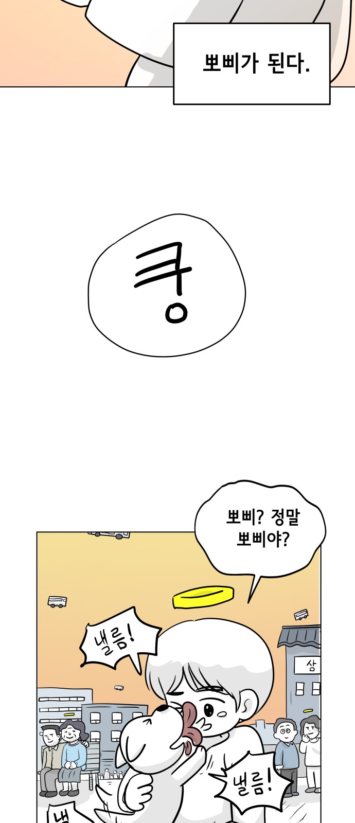 41 페이지