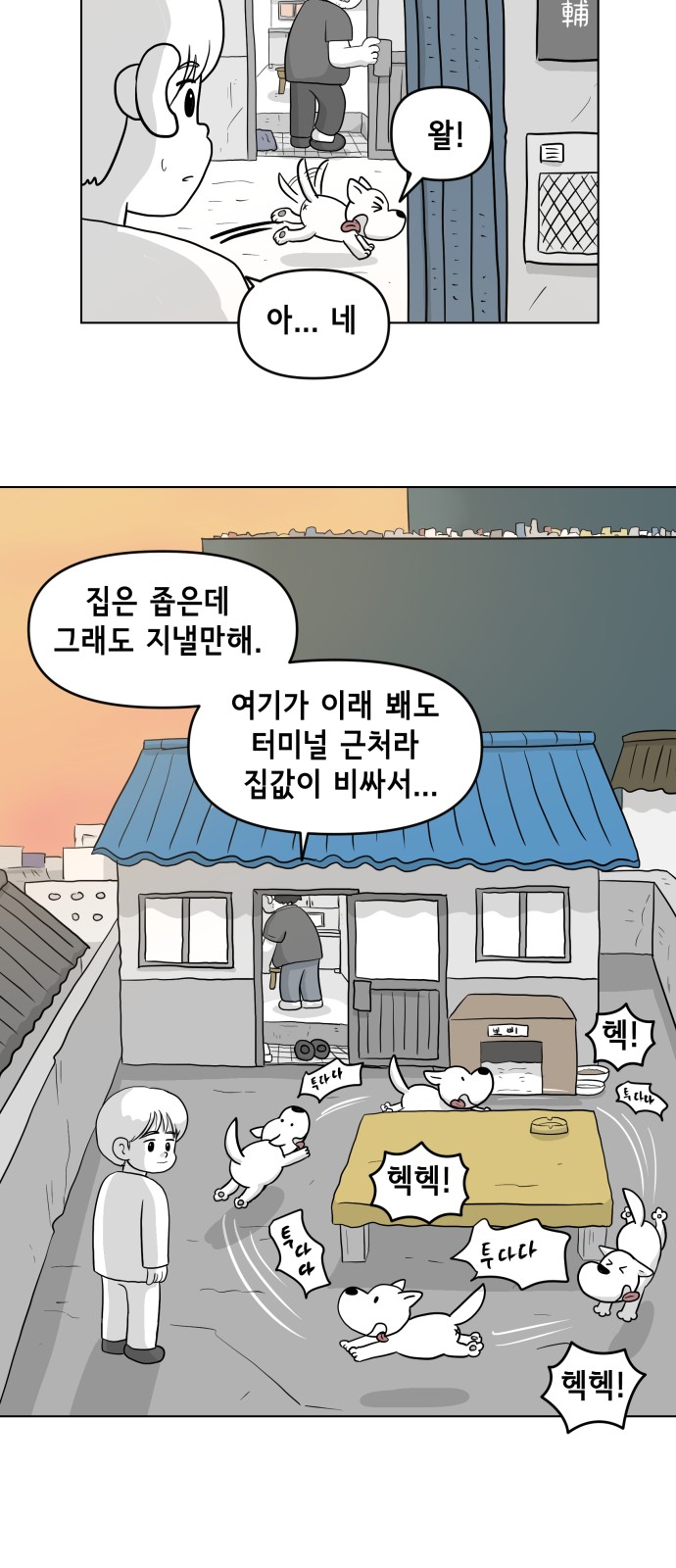 17 페이지