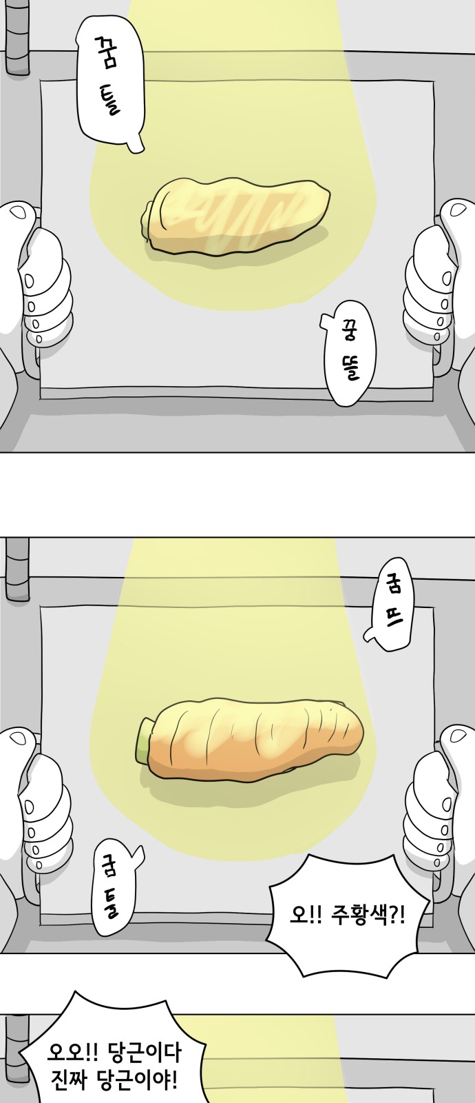 33 페이지
