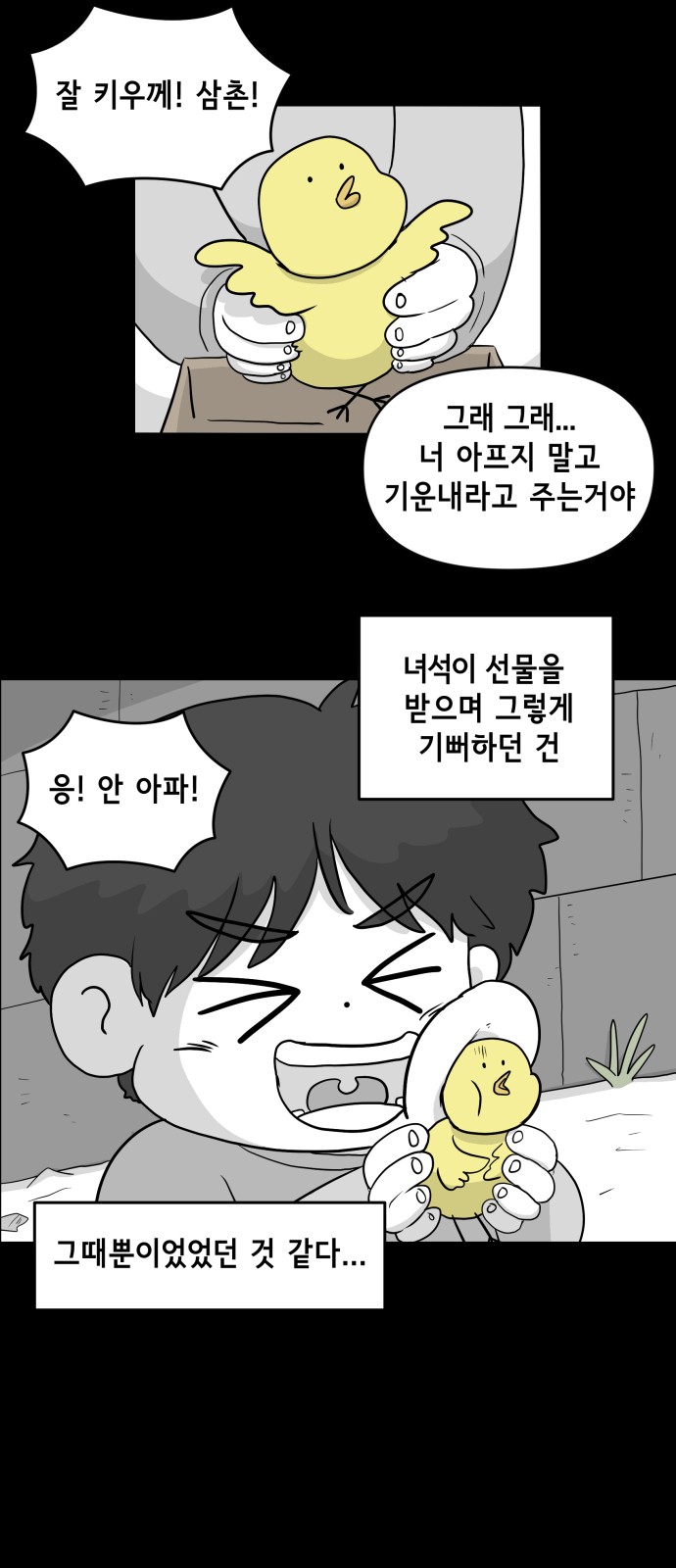 17 페이지