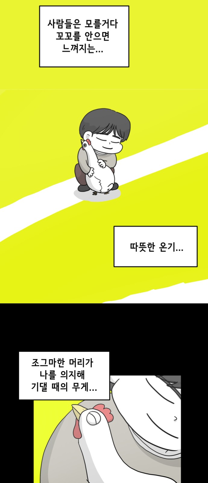 17 페이지