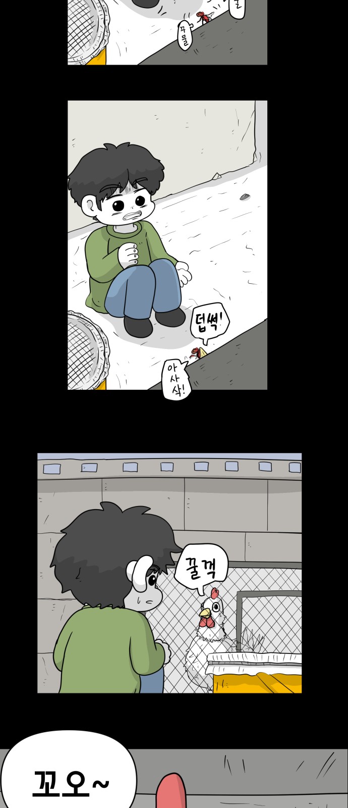 12 페이지