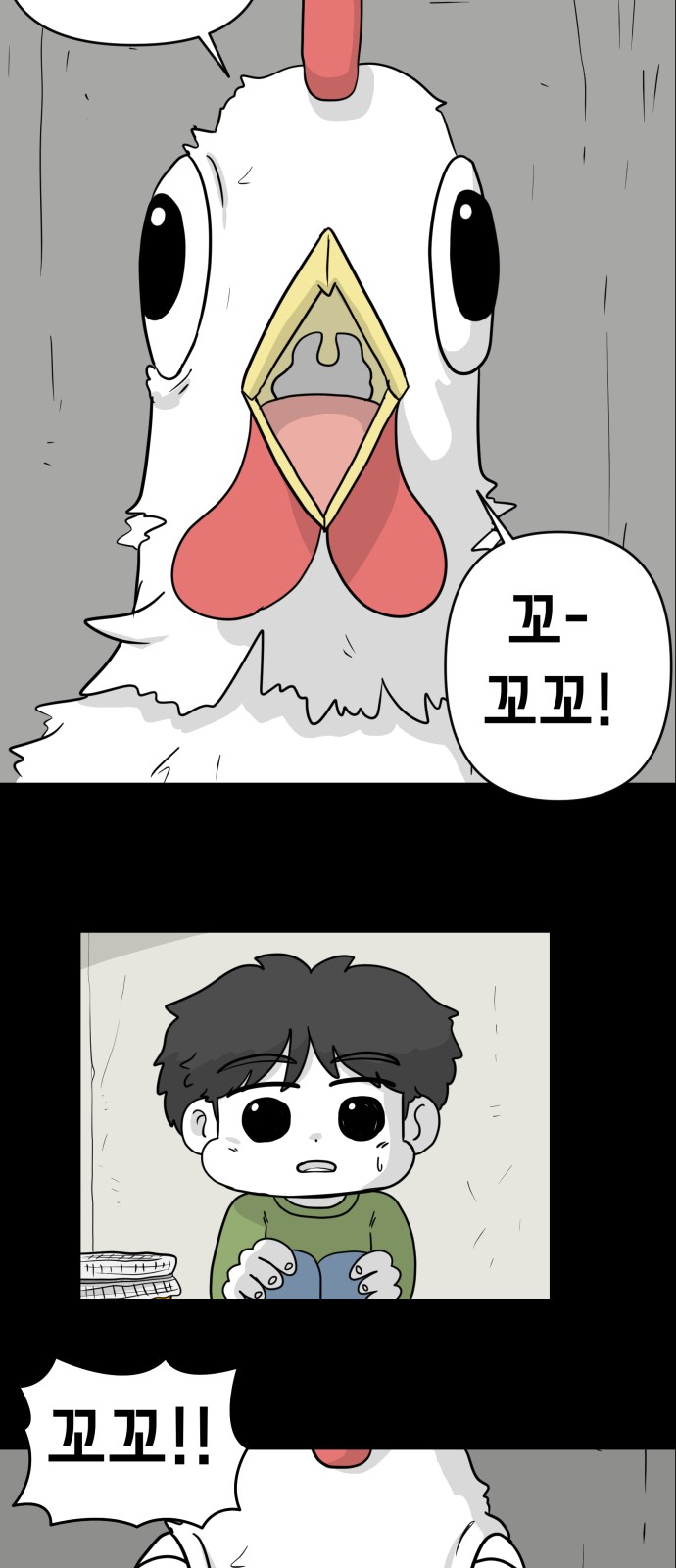 13 페이지