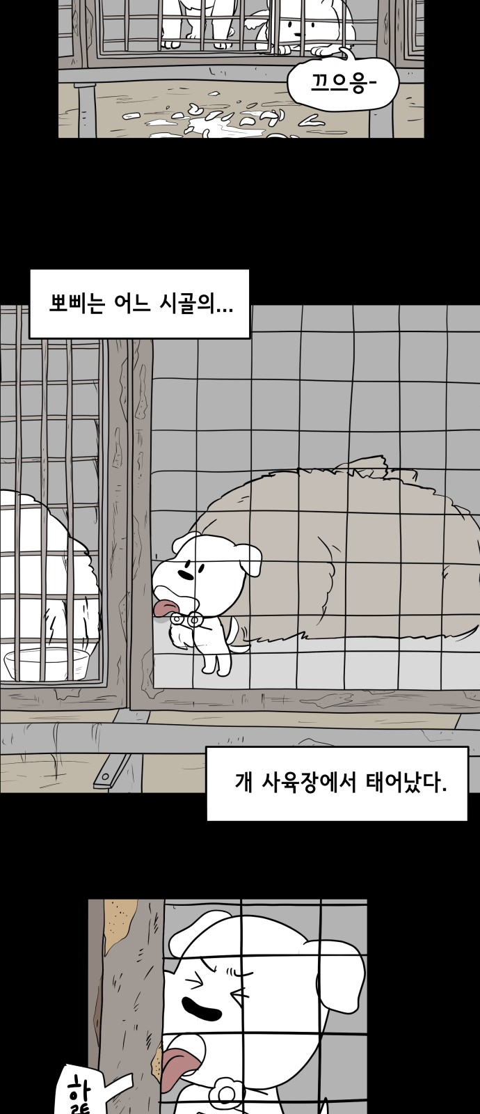 11 페이지