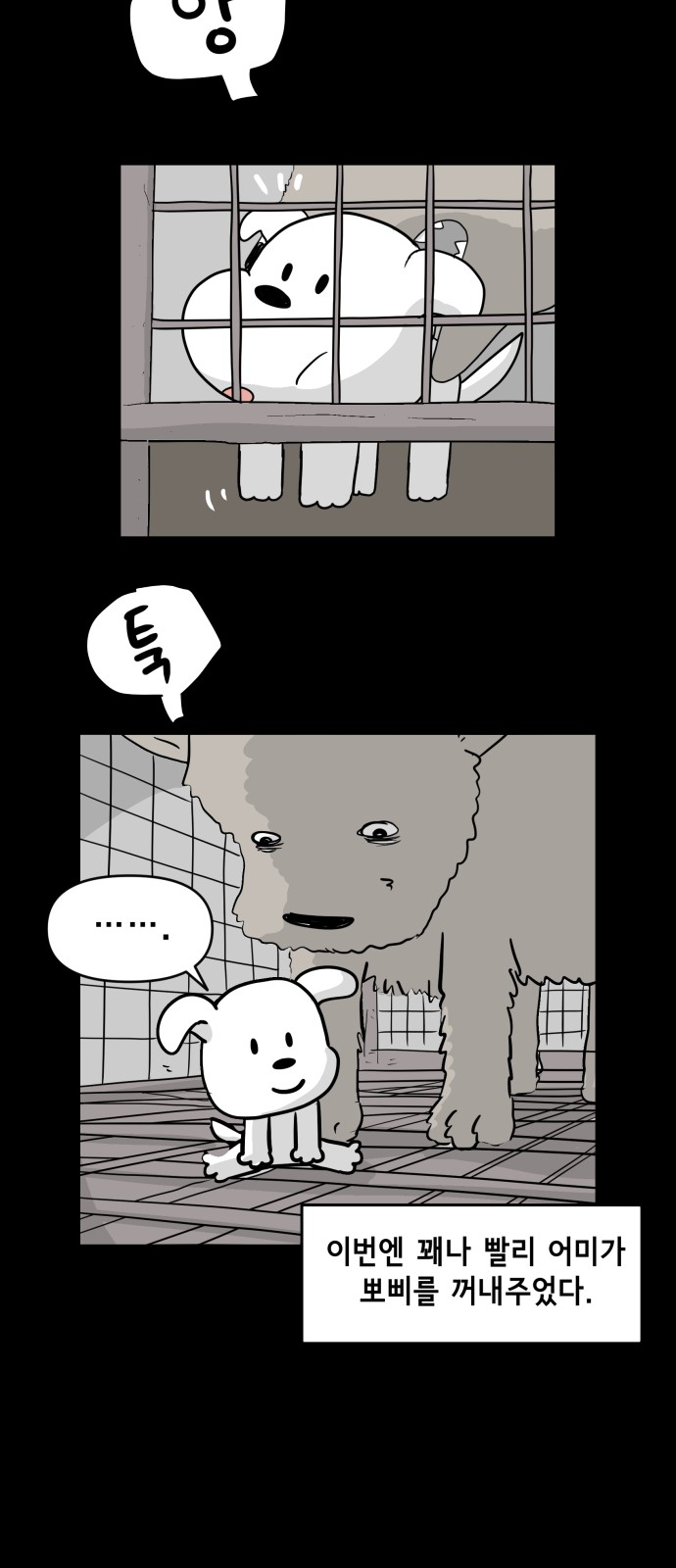 21 페이지