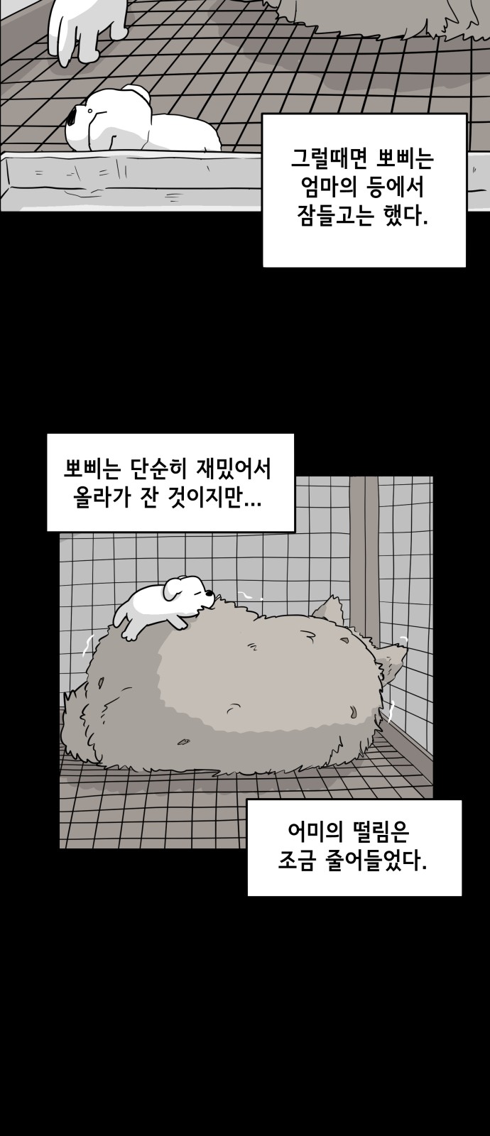 27 페이지
