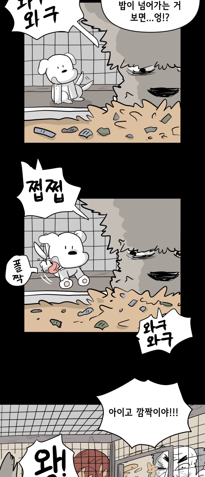 31 페이지