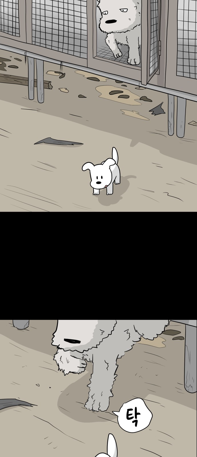 41 페이지
