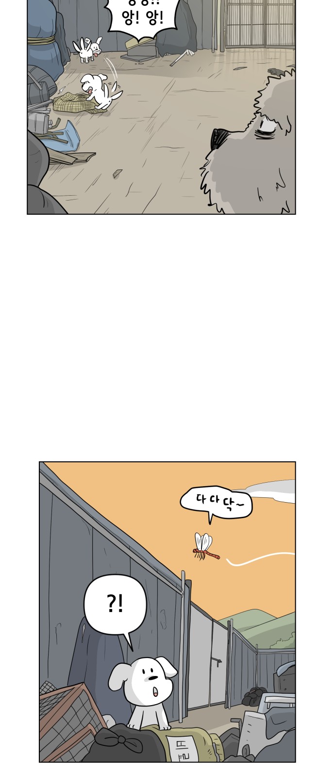 19 페이지