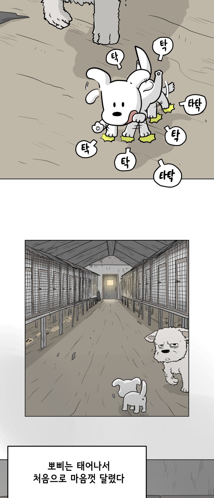 3 페이지