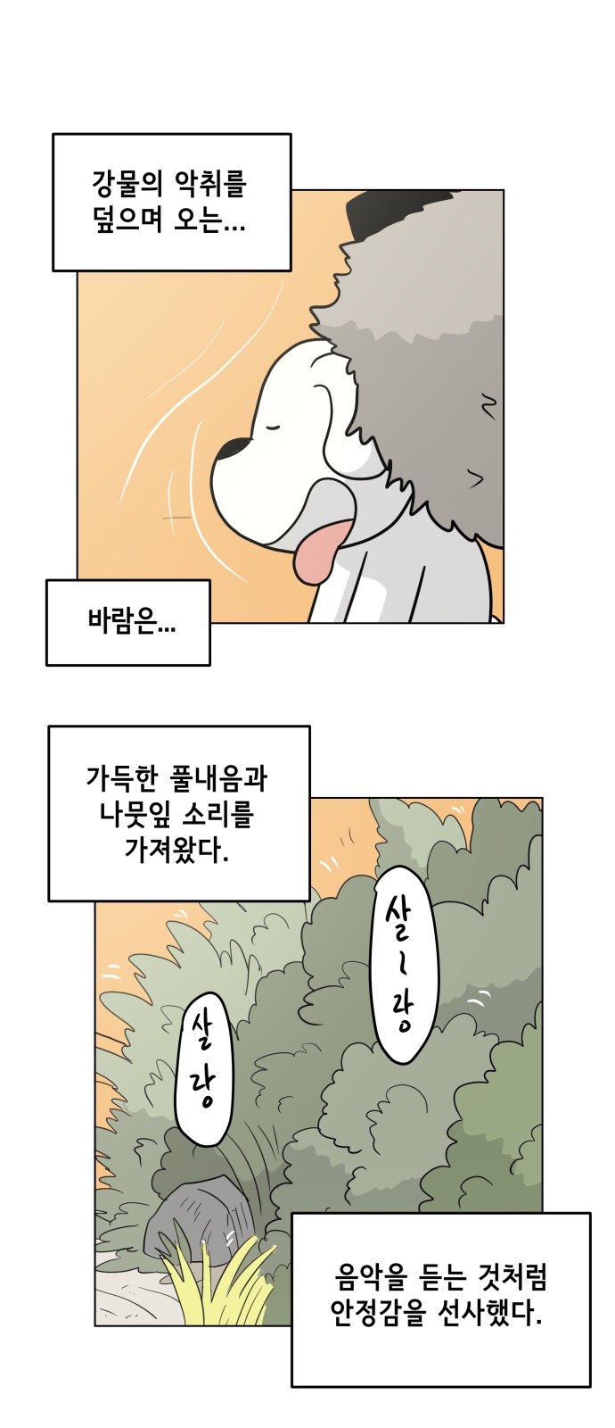 33 페이지