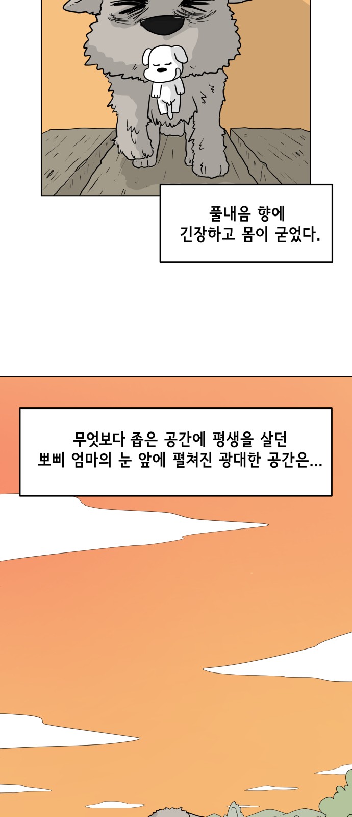 37 페이지