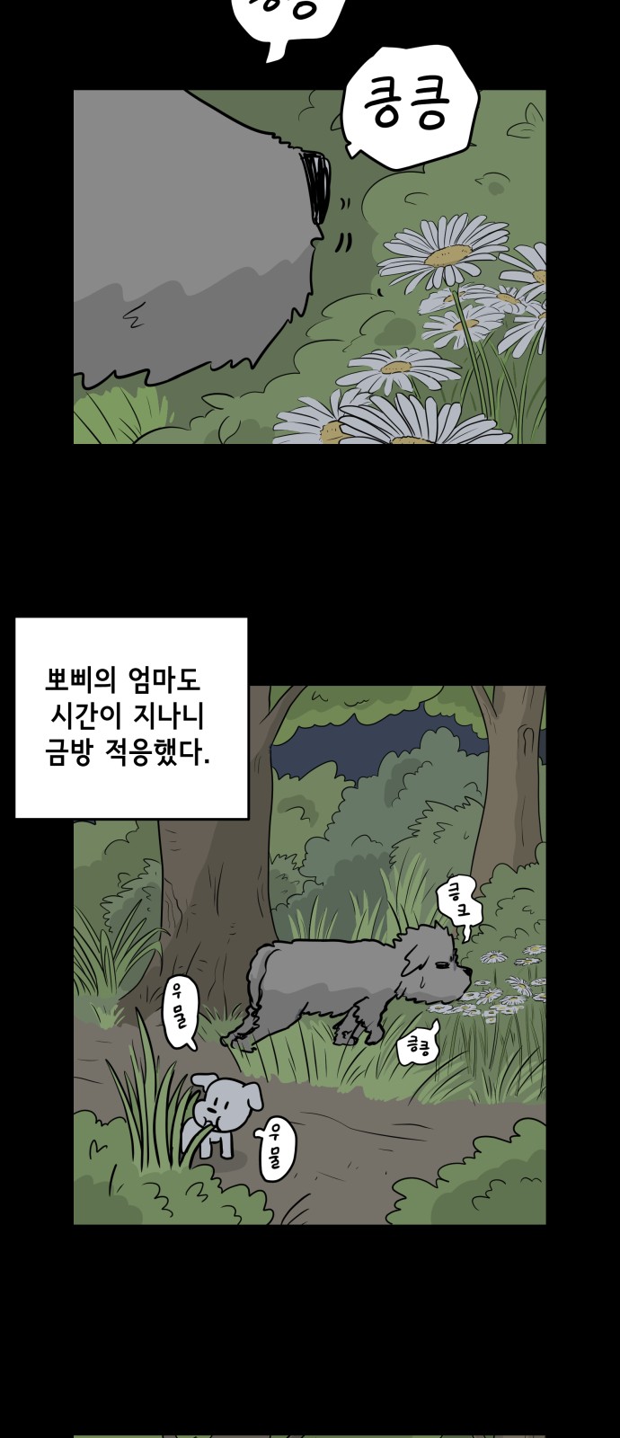 14 페이지