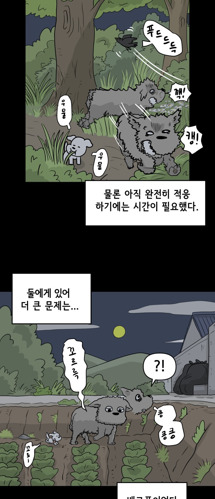 15 페이지