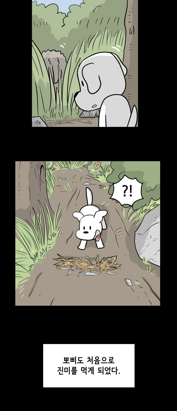 31 페이지
