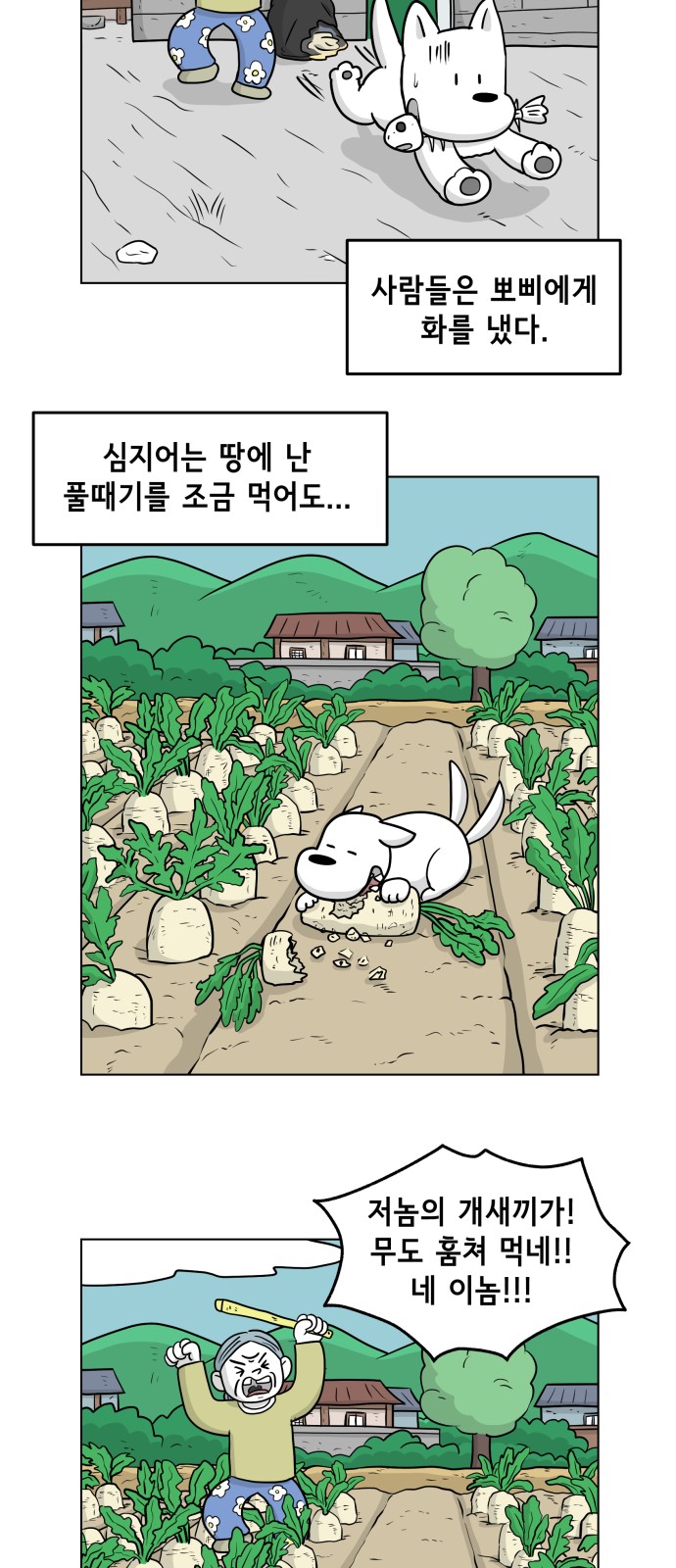 5 페이지