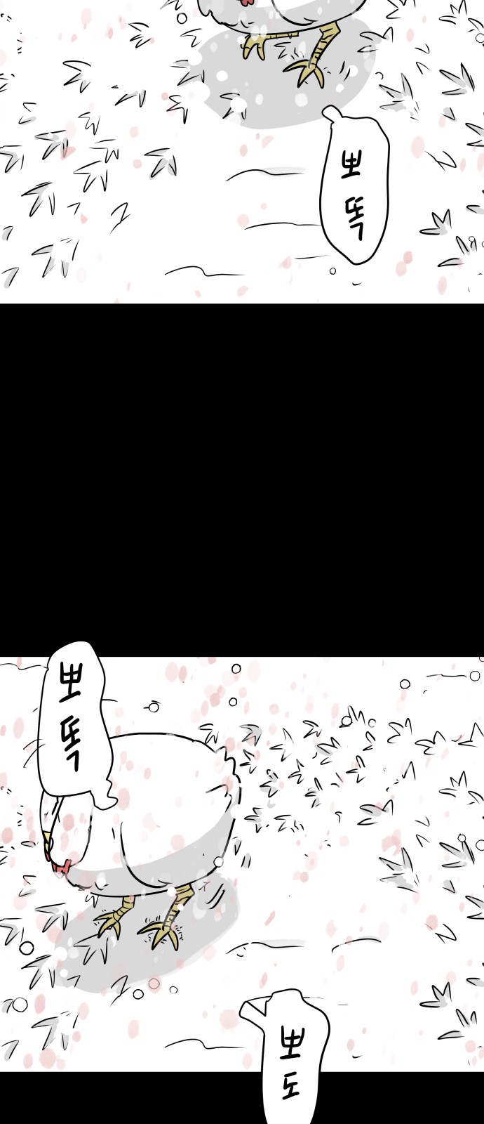 43 페이지