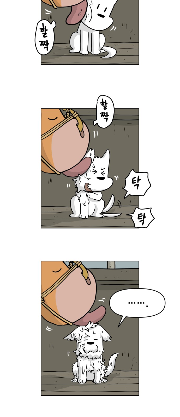 15 페이지