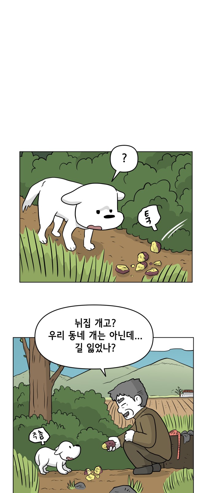 35 페이지