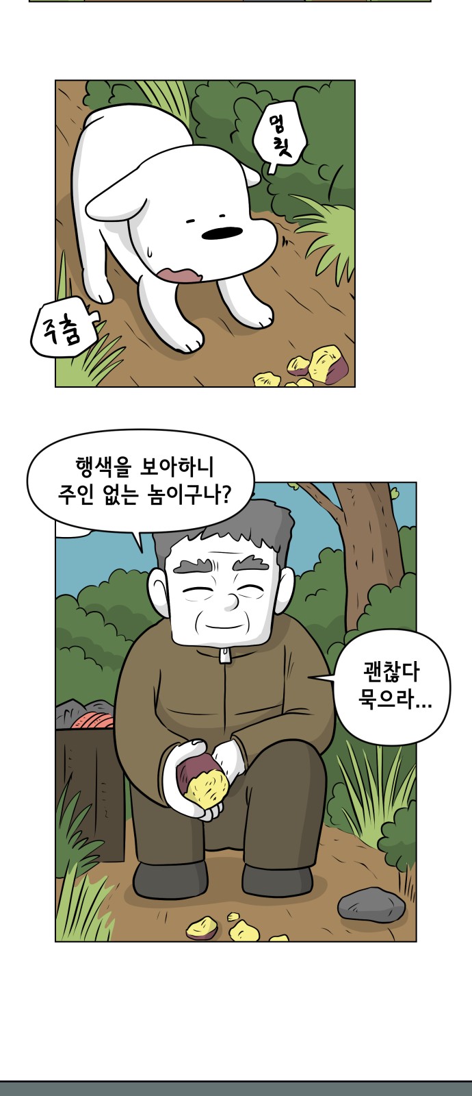 36 페이지