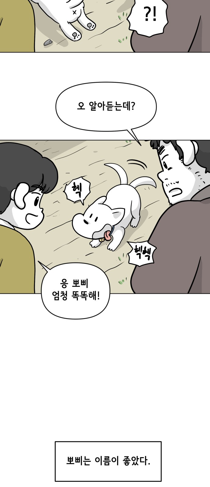 35 페이지