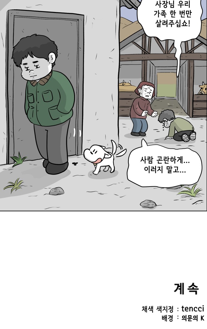 43 페이지