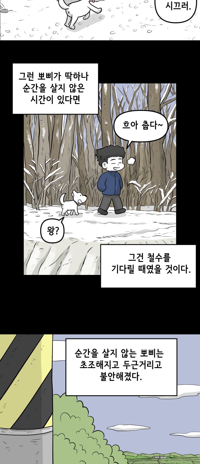 27 페이지