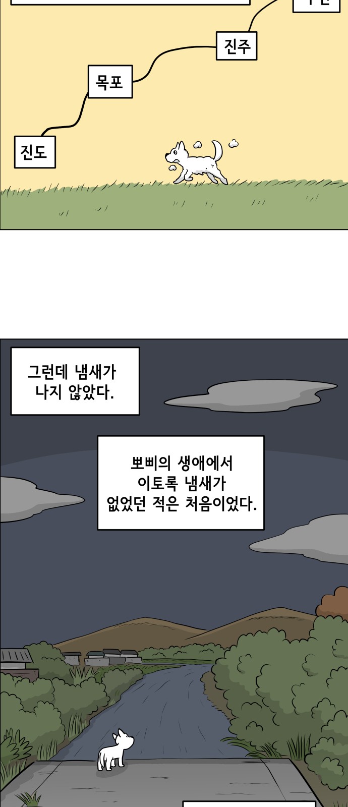 13 페이지