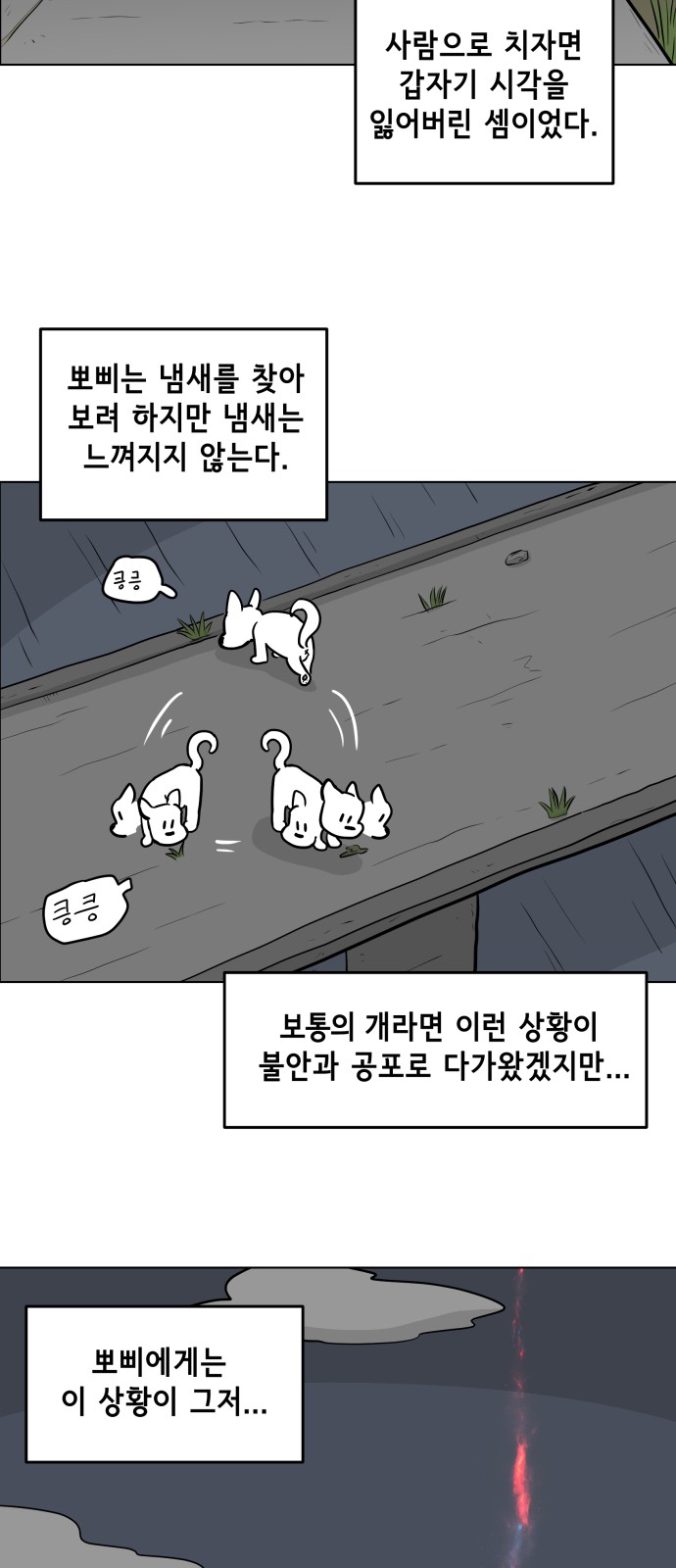 14 페이지