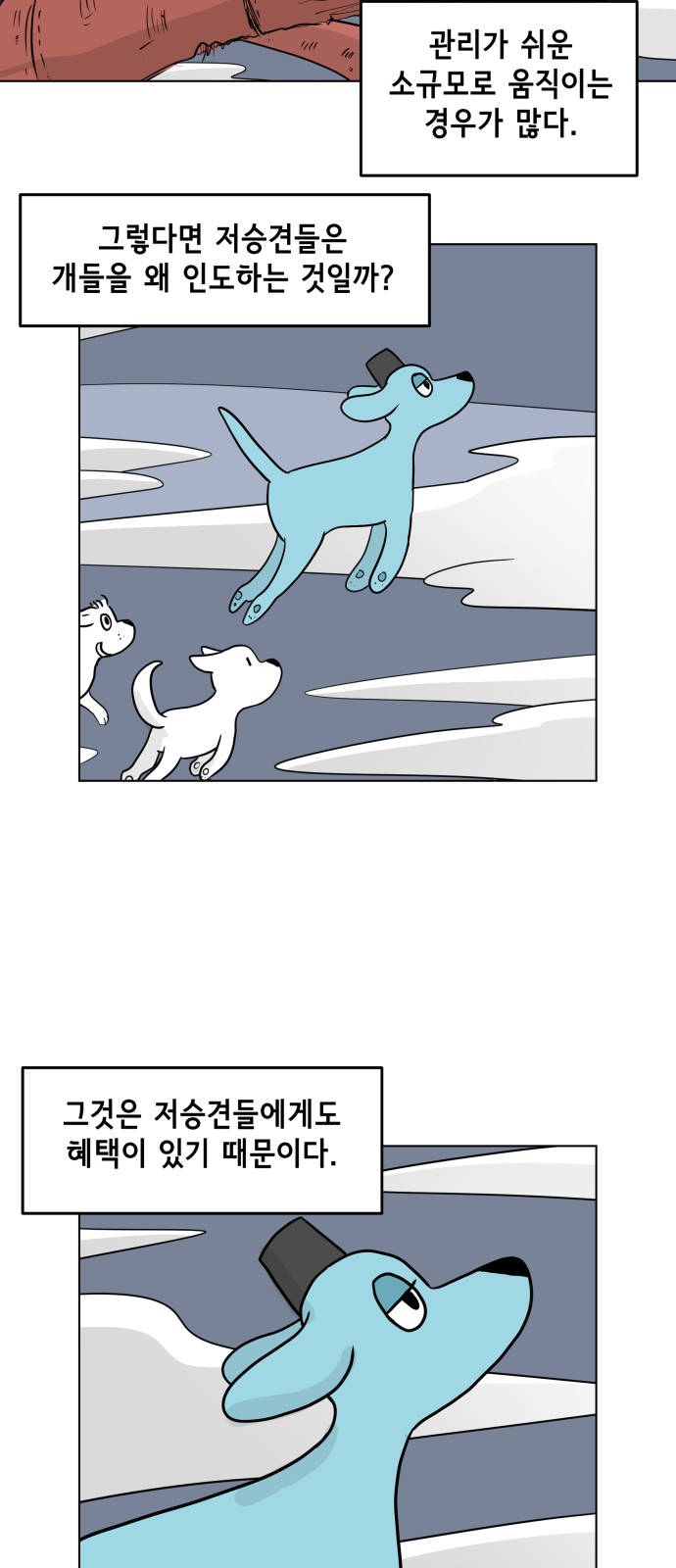 37 페이지