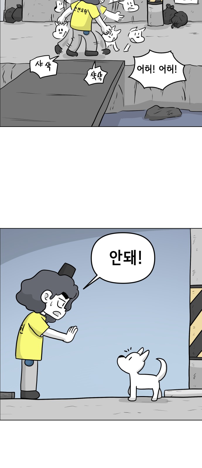 17 페이지