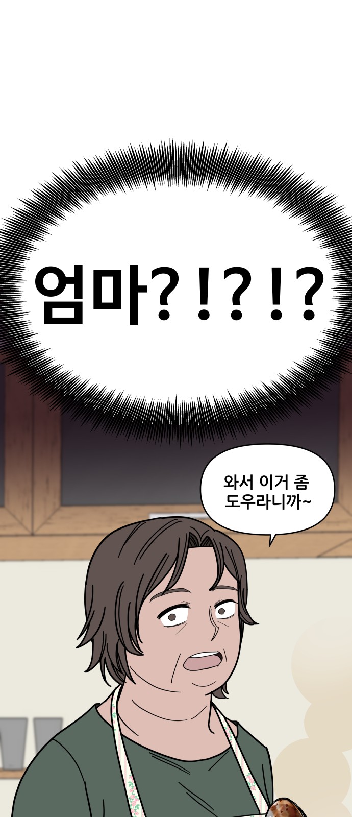 66 페이지