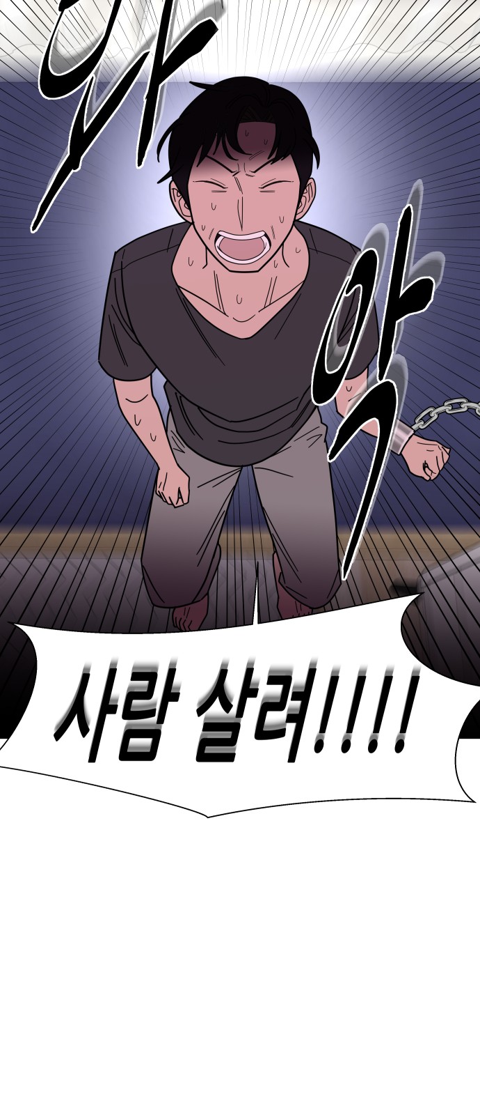 17 페이지