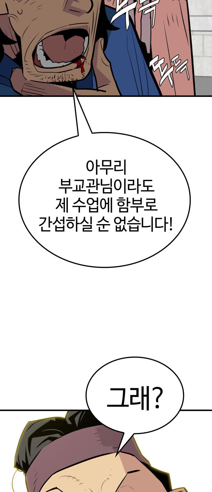 66 페이지