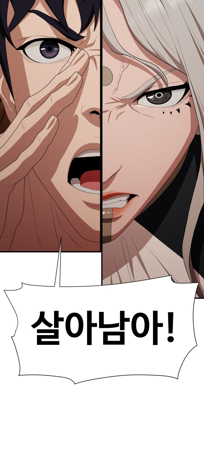 86 페이지