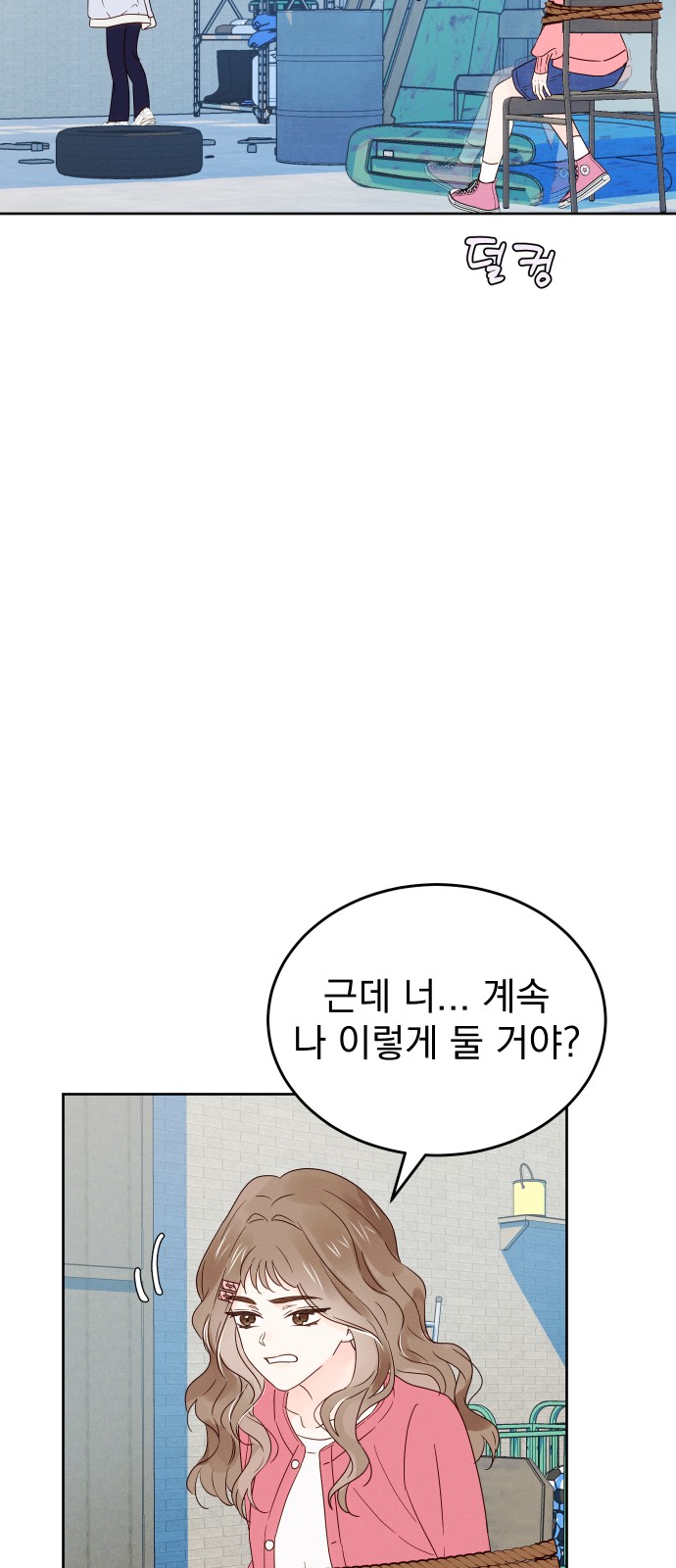 51 페이지
