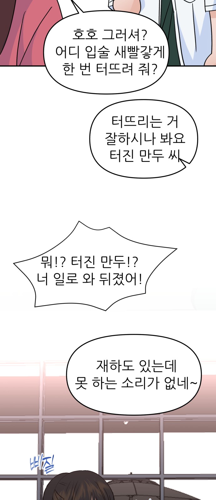 66 페이지