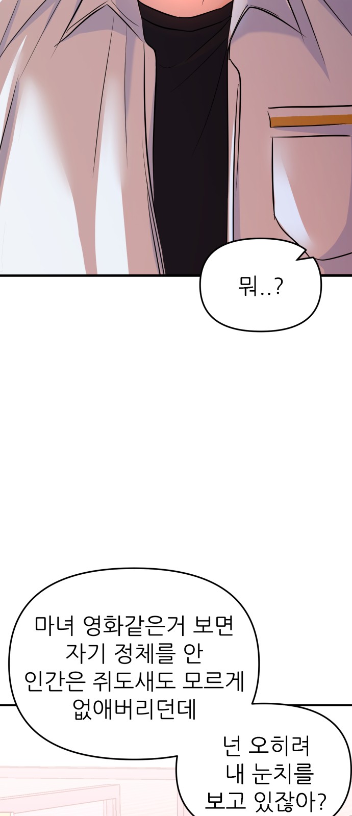 113 페이지