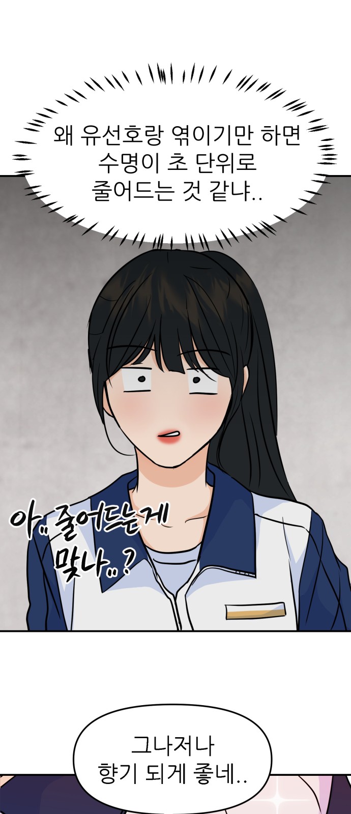20 페이지