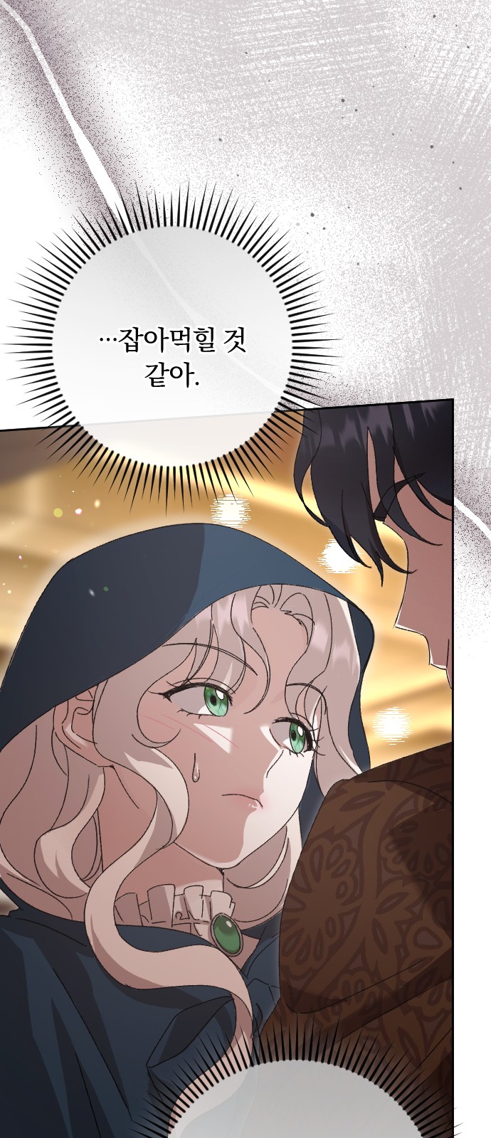 72 페이지
