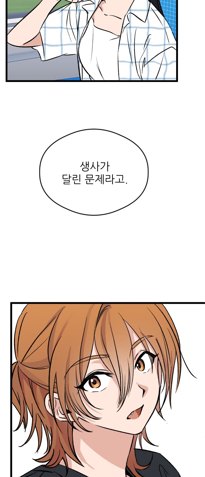44 페이지